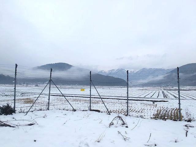 高島市マキノ町山中180坪土地の外観|積雪の時期