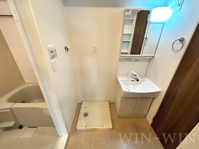 M グレインⅤの洗面所