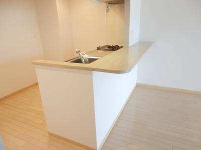 HF四条河原町レジデンスのキッチン|カウンターキッチン