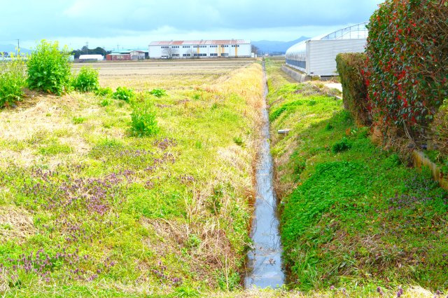 出雲市平田町の売地の外観|西側水路あり