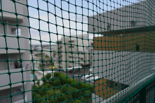 仲介手数料0！！メゾンドエトワールの展望