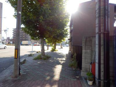 アーバンツリーグランシャリオの周辺|前面道路