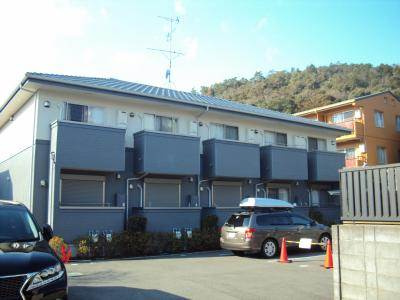 ノーザンエース花門