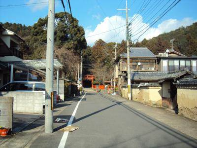 ノーザンエース花門の周辺