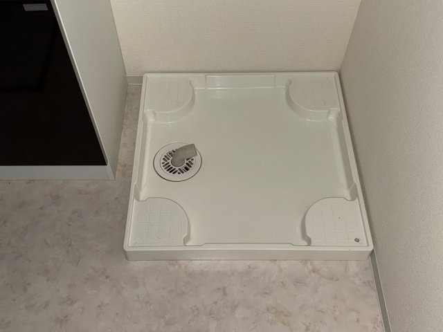 ソフィアのその他