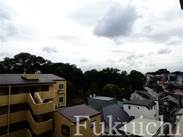 都立大パレスの展望