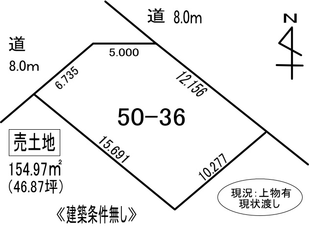 登別市新生町4丁目50-36　土地