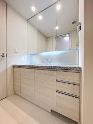 【独立洗面台】 | スカイズタワー&ガーデン | 月額管理料無料！賃貸管理はアブレイズパートナーズにお任せを！