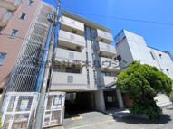 　チェリーブロッサムの画像