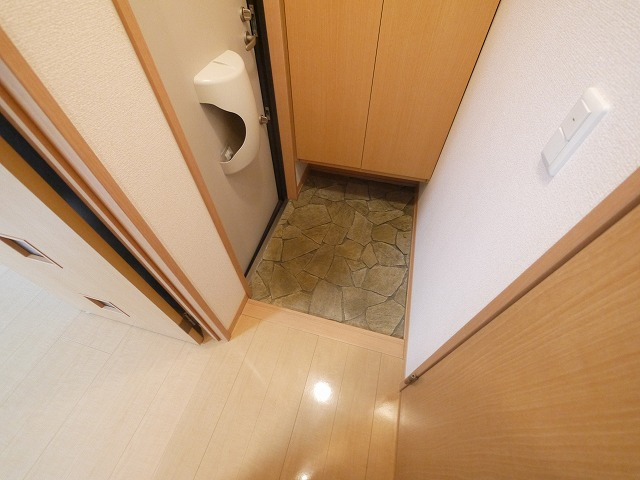 ラフィーネ松ヶ丘の玄関|明るい玄関です