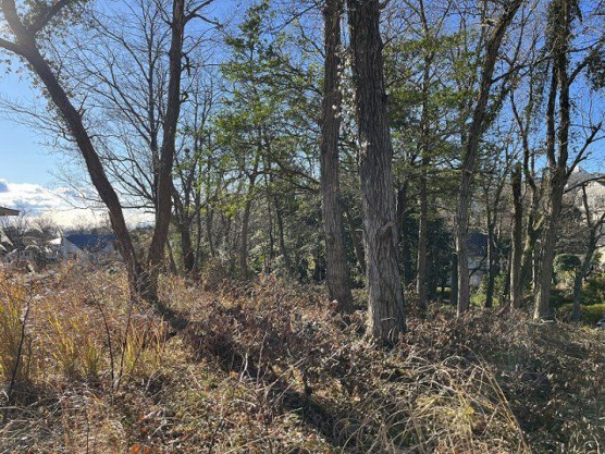 【外観】 | 大室高原別荘地　売地