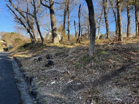 【外観】 | 大室高原別荘地　売地