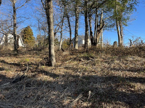 【外観】 | 大室高原別荘地　売地