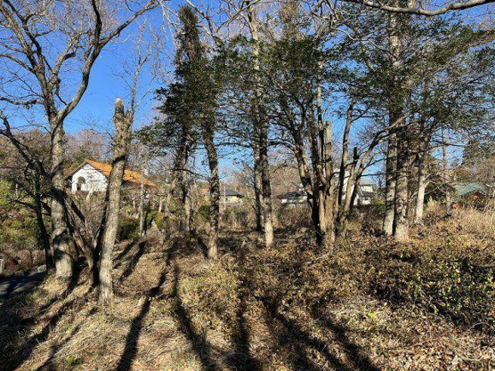 【外観】 | 大室高原別荘地　売地