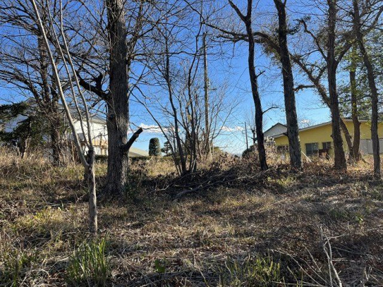 【外観】 | 大室高原別荘地　売地