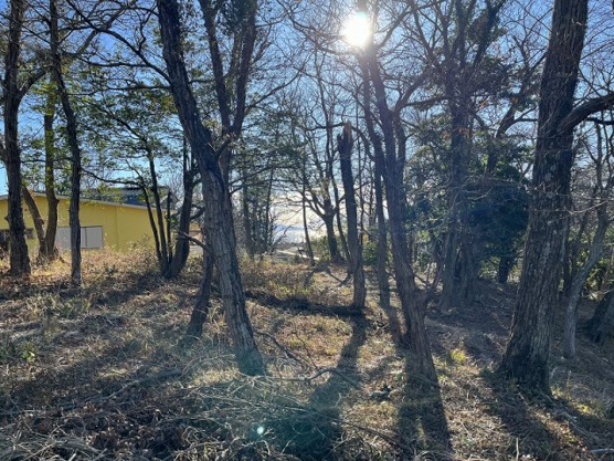【周辺】 | 大室高原別荘地　売地 | 海と利島が見えます。