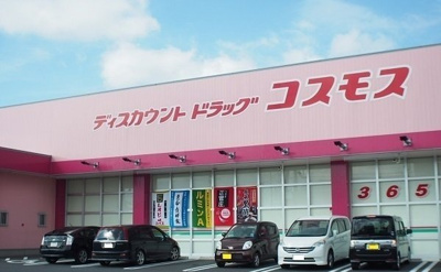 【周辺】 | ラフィーネロジュマンⅢ | コスモス東出雲店まで1400m