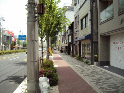 グランヒル下鴨の周辺|前面道路