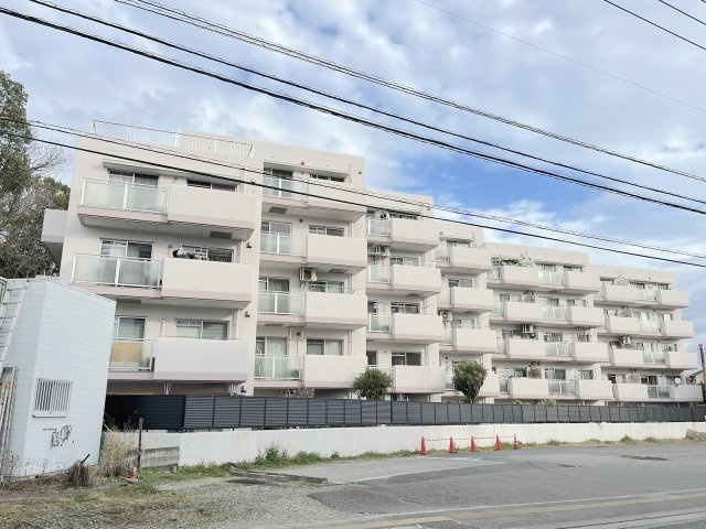 老司エクセル15の外観