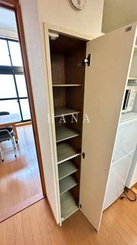 レオパレスセレブの収納