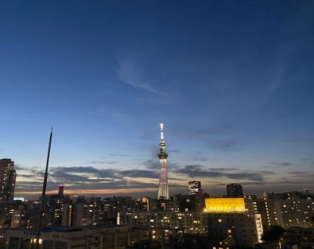 ライオンズプラザ亀戸の展望