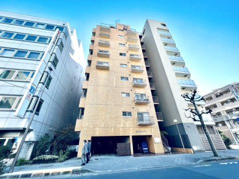 ライオンズプラザ亀戸の外観