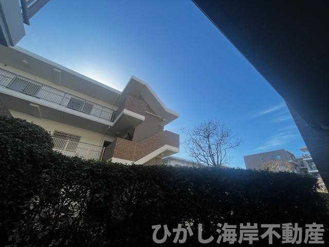 フォルスコート茅ヶ崎ラチエン通りD棟の展望|眺望