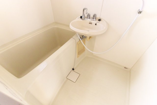 ベルメゾン・スギⅠの浴室