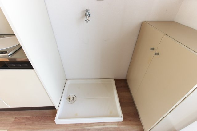 ベルメゾン・スギⅠのその他