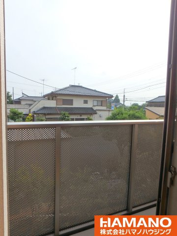 ベルヴェデールの展望