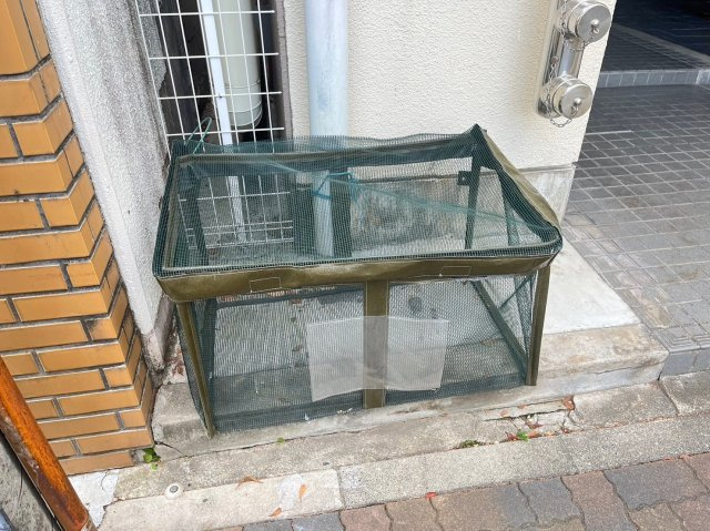 パークサイドいちかわ｜名古屋市の賃貸ならMy賃貸のその他共用部分|パークサイドいちかわ