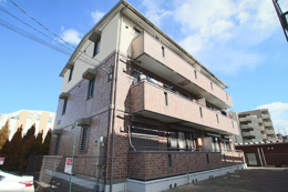 アンデリーナの画像