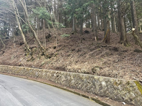 【外観】 | 東急天城高原別荘地　売地 | 掲載内容と現況が相違する場合は現況優先と致します。