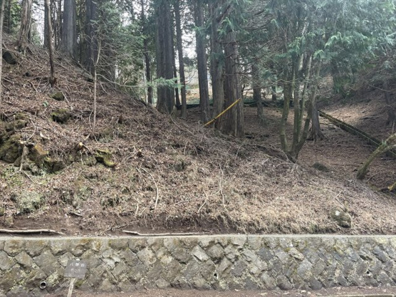 【外観】 | 東急天城高原別荘地　売地