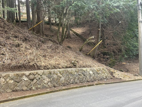 【外観】 | 東急天城高原別荘地　売地