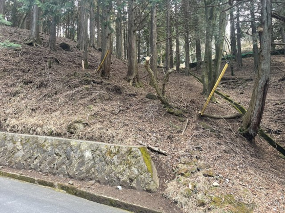 【外観】 | 東急天城高原別荘地　売地