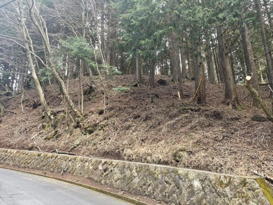 【外観】 | 東急天城高原別荘地　売地