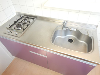 【キッチン】 | REGULUS KONAN YAMATE | お料理好きな方に嬉しい２口ガスコンロ