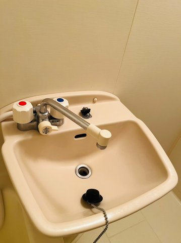 仲介手数料0円！！アイリス・コートの洗面所