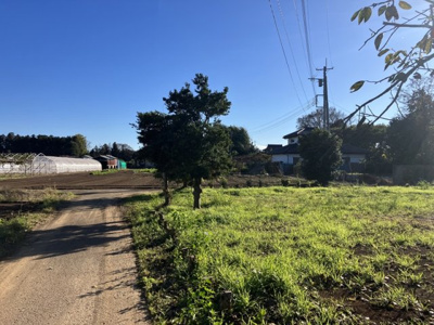 【前面道路含む現地写真】 | つくば市洞下戸建