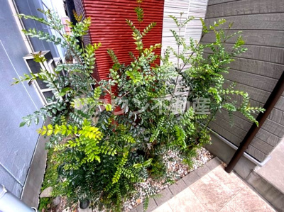 【エントランス】 | クリークコート | 落ち着いたエントランスです