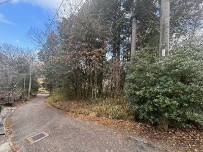 【周辺】 | 兵庫県丹波篠山市今田町下小野原