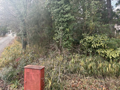 【周辺】 | 兵庫県丹波篠山市今田町下小野原