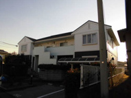 ミールセフィラの画像