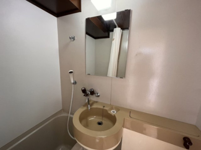 【洗面所】 | ルミエール淡路East | 洗面所です