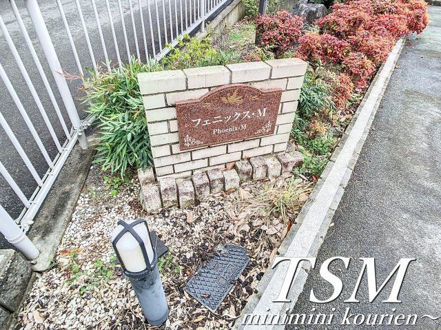 フェニックス・Ｍのその他