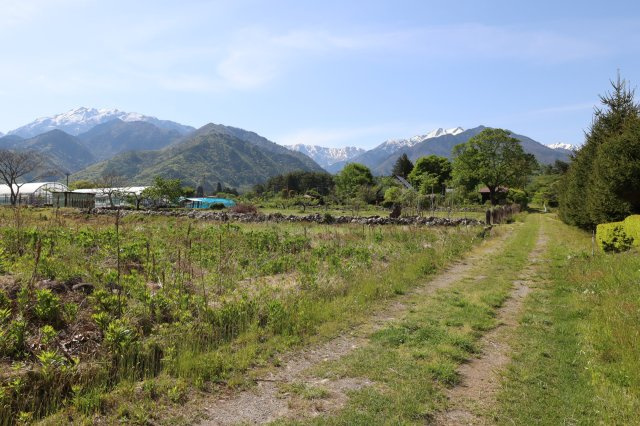 【土地】平の前面道路含む現地写真