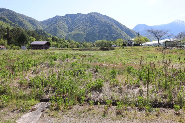 【土地】平の前面道路含む現地写真