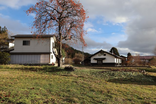 【土地】社宮本の外観|南側　農地部分　立派な柿の木があります