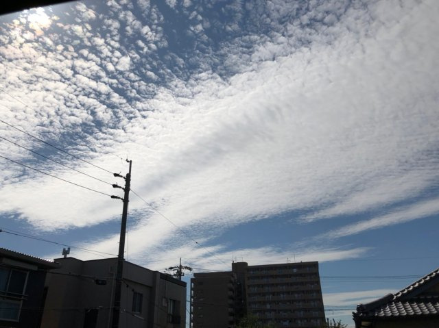 仲介手数料0！！ウインズ名城の展望